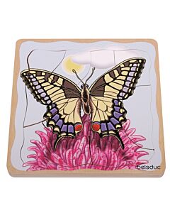 Vrstvové Puzzle Vývoj Motýľa 