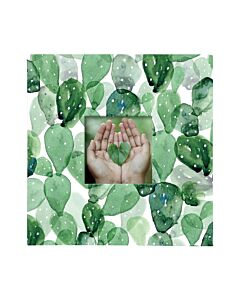  Fotoalbum - Kaktus