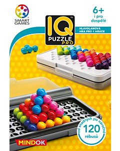  IQ Puzzle Pro